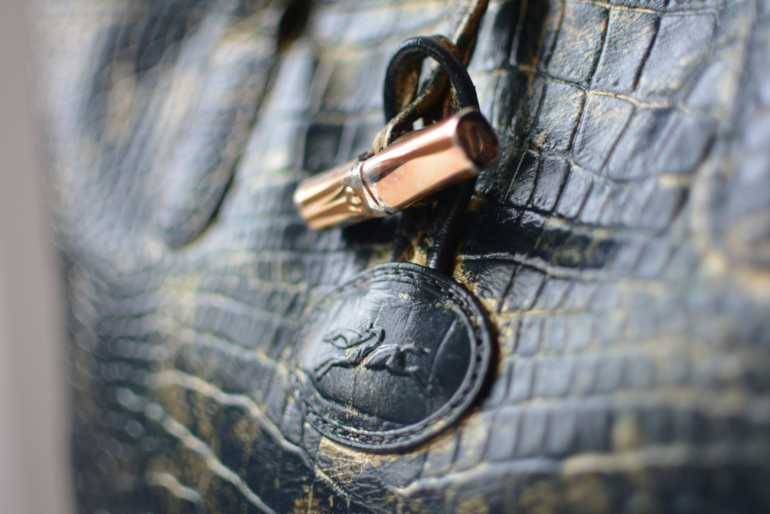 Sac Cabas Longchamp Roseau Upcyclé – Version Bleu et Or par AK – Image 5